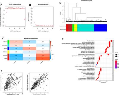 Integrative Analysis of Multi-Omics Data-Identified Key Genes With KLRC3 as the Core in a Gene Regulatory Network Related to Immune Phenotypes in Lung Adenocarcinoma